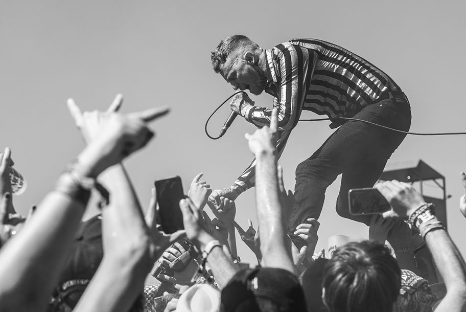 the wombats
